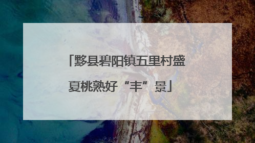黟县碧阳镇五里村盛夏桃熟好“丰”景