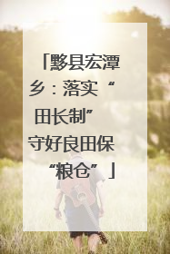 黟县宏潭乡：落实“田长制” 守好良田保“粮仓”