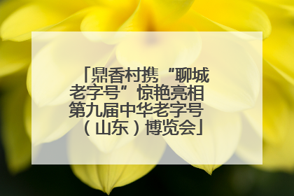鼎香村携“聊城老字号”惊艳亮相第九届中华老字号（山东）博览会