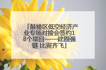 鼓楼区低空经济产业专场对接会签约18个项目——建圈强链 比翼齐飞