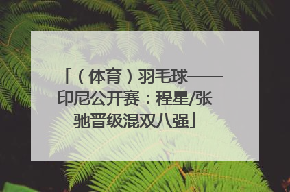 （体育）羽毛球——印尼公开赛：程星/张驰晋级混双八强