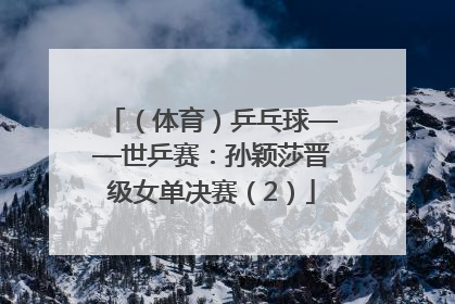 （体育）乒乓球——世乒赛：孙颖莎晋级女单决赛（2）