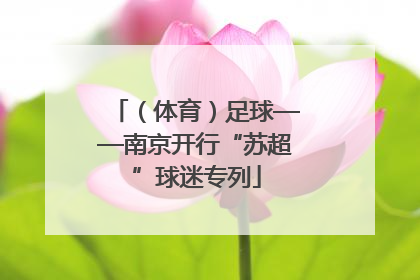 （体育）足球——南京开行“苏超”球迷专列