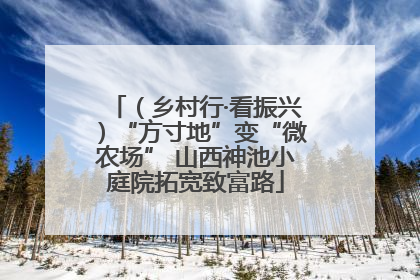 （乡村行·看振兴）“方寸地”变“微农场” 山西神池小庭院拓宽致富路