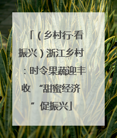 （乡村行·看振兴）浙江乡村：时令果蔬迎丰收 “甜蜜经济”促振兴
