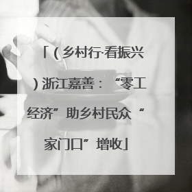 （乡村行·看振兴）浙江嘉善：“零工经济”助乡村民众“家门口”增收
