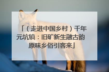 （走进中国乡村）千年元坑镇：旧矿新生融古韵 原味乡俗引客来
