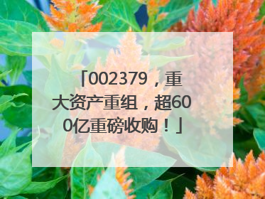 002379，重大资产重组，超600亿重磅收购！