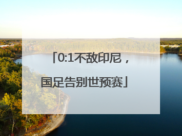 0:1不敌印尼，国足告别世预赛