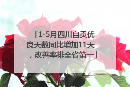 1-5月四川自贡优良天数同比增加11天，改善率排全省第一