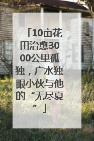 10亩花田治愈3000公里孤独，广水独眼小伙与他的“无尽夏”