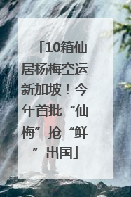 10箱仙居杨梅空运新加坡！今年首批“仙梅”抢“鲜”出国