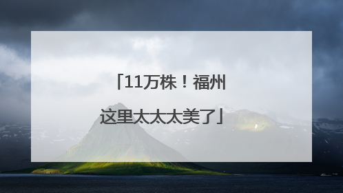 11万株！福州这里太太太美了