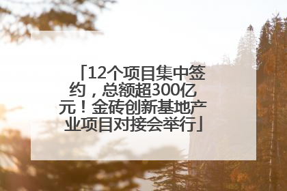 12个项目集中签约，总额超300亿元！金砖创新基地产业项目对接会举行