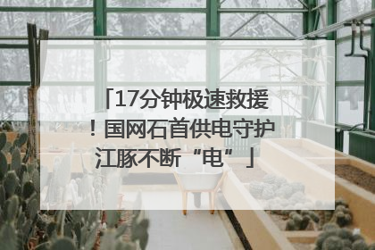 17分钟极速救援！国网石首供电守护江豚不断“电”