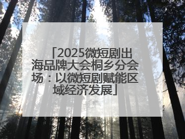 2025微短剧出海品牌大会桐乡分会场：以微短剧赋能区域经济发展