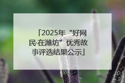 2025年“好网民·在潍坊”优秀故事评选结果公示
