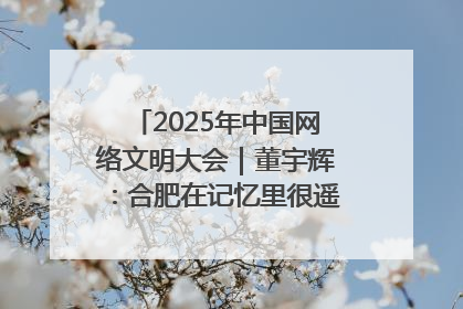 2025年中国网络文明大会｜董宇辉：合肥在记忆里很遥远也很亲切