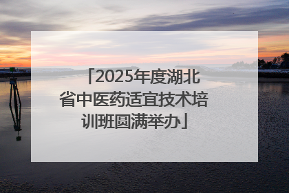2025年度湖北省中医药适宜技术培训班圆满举办
