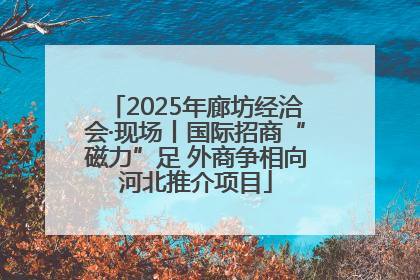 2025年廊坊经洽会·现场丨国际招商“磁力”足 外商争相向河北推介项目