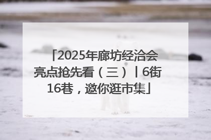2025年廊坊经洽会亮点抢先看（三）丨6街16巷，邀你逛市集