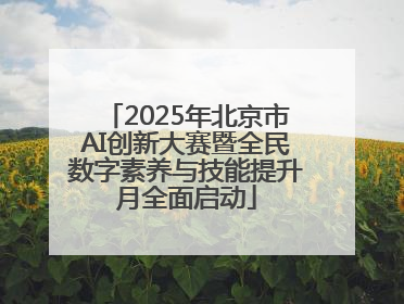 2025年北京市AI创新大赛暨全民数字素养与技能提升月全面启动