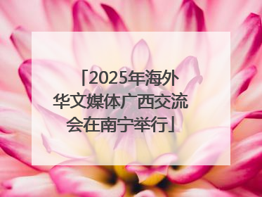 2025年海外华文媒体广西交流会在南宁举行
