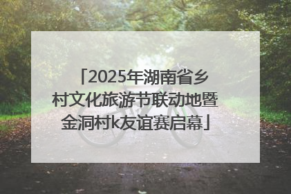2025年湖南省乡村文化旅游节联动地暨金洞村k友谊赛启幕