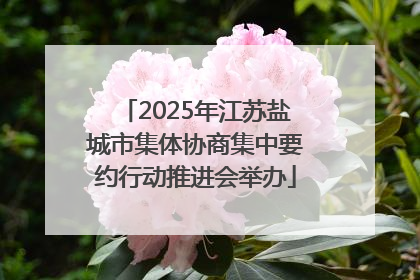 2025年江苏盐城市集体协商集中要约行动推进会举办