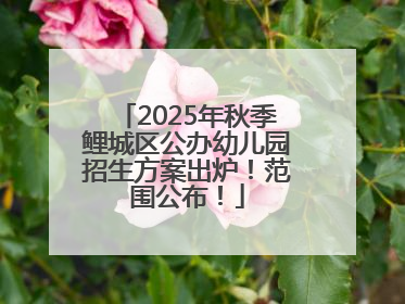 2025年秋季鲤城区公办幼儿园招生方案出炉！范围公布！
