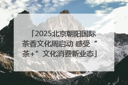 2025北京朝阳国际茶香文化周启动 感受“茶+”文化消费新业态