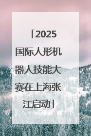 2025国际人形机器人技能大赛在上海张江启动