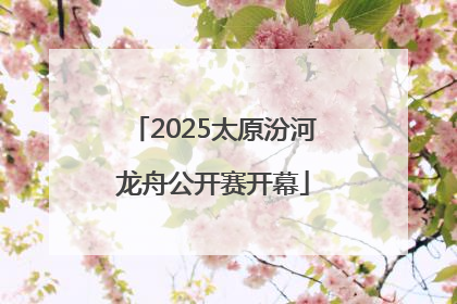 2025太原汾河龙舟公开赛开幕