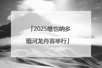 2025维也纳多瑙河龙舟赛举行