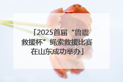2025首届“鲁震救援杯”绳索救援比赛在山东成功举办
