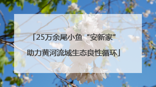 25万余尾小鱼“安新家” 助力黄河流域生态良性循环