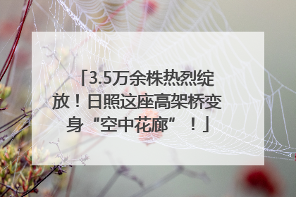 3.5万余株热烈绽放！日照这座高架桥变身“空中花廊”！