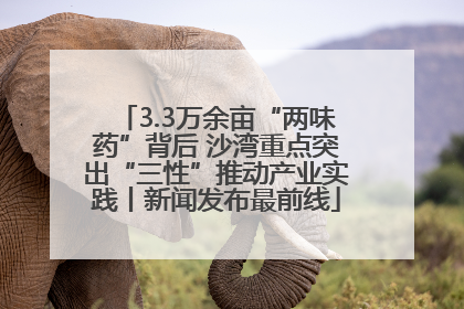 3.3万余亩“两味药”背后 沙湾重点突出“三性”推动产业实践丨新闻发布最前线
