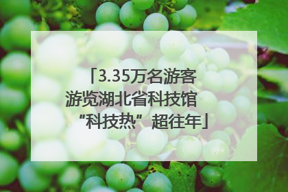 3.35万名游客游览湖北省科技馆 “科技热”超往年