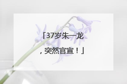 37岁朱一龙，突然官宣！