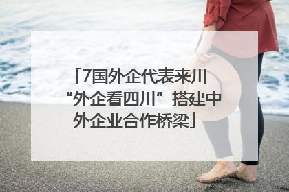 7国外企代表来川 “外企看四川”搭建中外企业合作桥梁