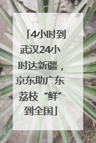 4小时到武汉24小时达新疆，京东助广东荔枝“鲜”到全国