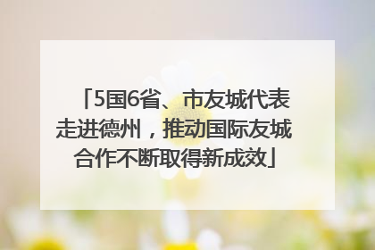 5国6省、市友城代表走进德州，推动国际友城合作不断取得新成效