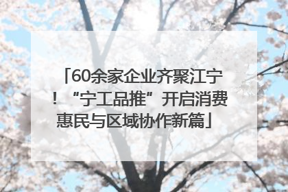 60余家企业齐聚江宁！“宁工品推”开启消费惠民与区域协作新篇