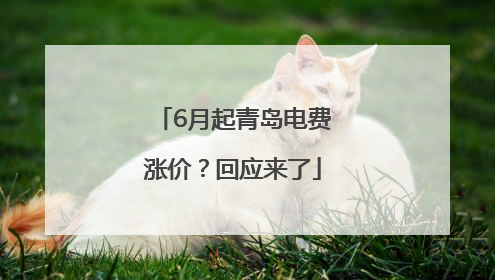 6月起青岛电费涨价？回应来了