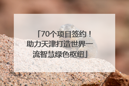 70个项目签约！助力天津打造世界一流智慧绿色枢纽