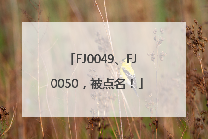 FJ0049、FJ0050，被点名！